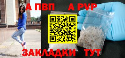 стаф Аргун