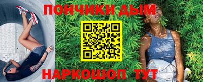 PSILOCYBIN Гатчина