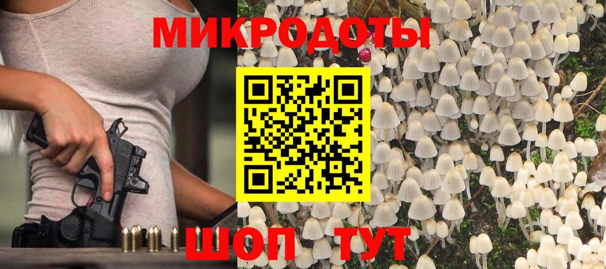 Псилоцибиновые грибы Cubensis Владикавказ