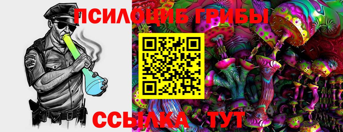 Владикавказ  что такое наркотик  Вход с VPN  Галлюциногенные грибы ЛСД 